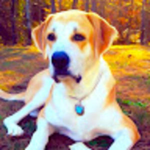 Meet your Posher, Bruna